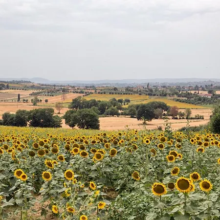 Milluzzi * Κορτόνα